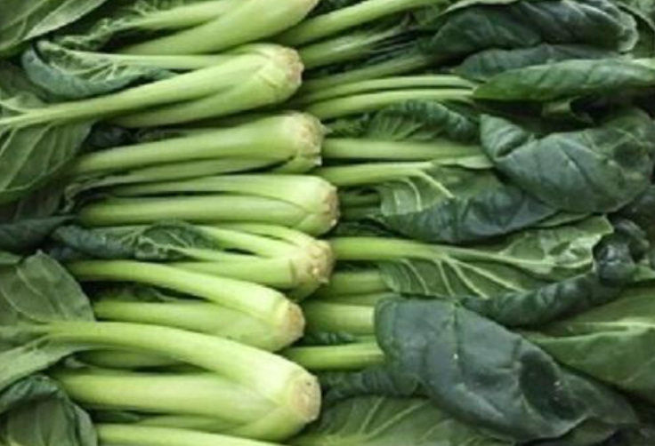 비타민 채소 요리 잎 채소 종류 비타민 효능 야채 먹는법
