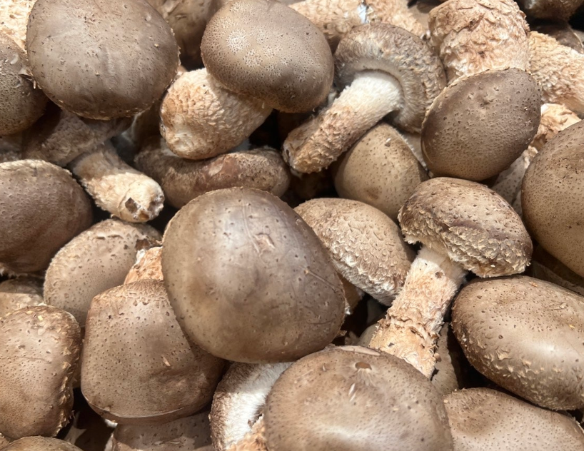 구아닐산 효능 말린표고버섯요리 볶음, 표고버섯 보관법