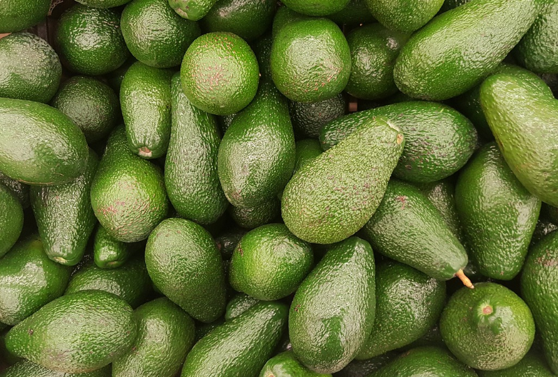 불포화지방산 음식 아보카도 효능 보관방법 아보카도 먹는법