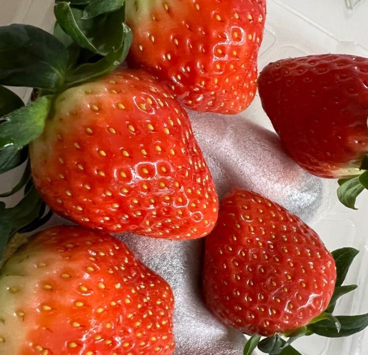 빈혈에 좋은 음식 딸기 영양성분 씻는법 세척법 딸기 보관방법